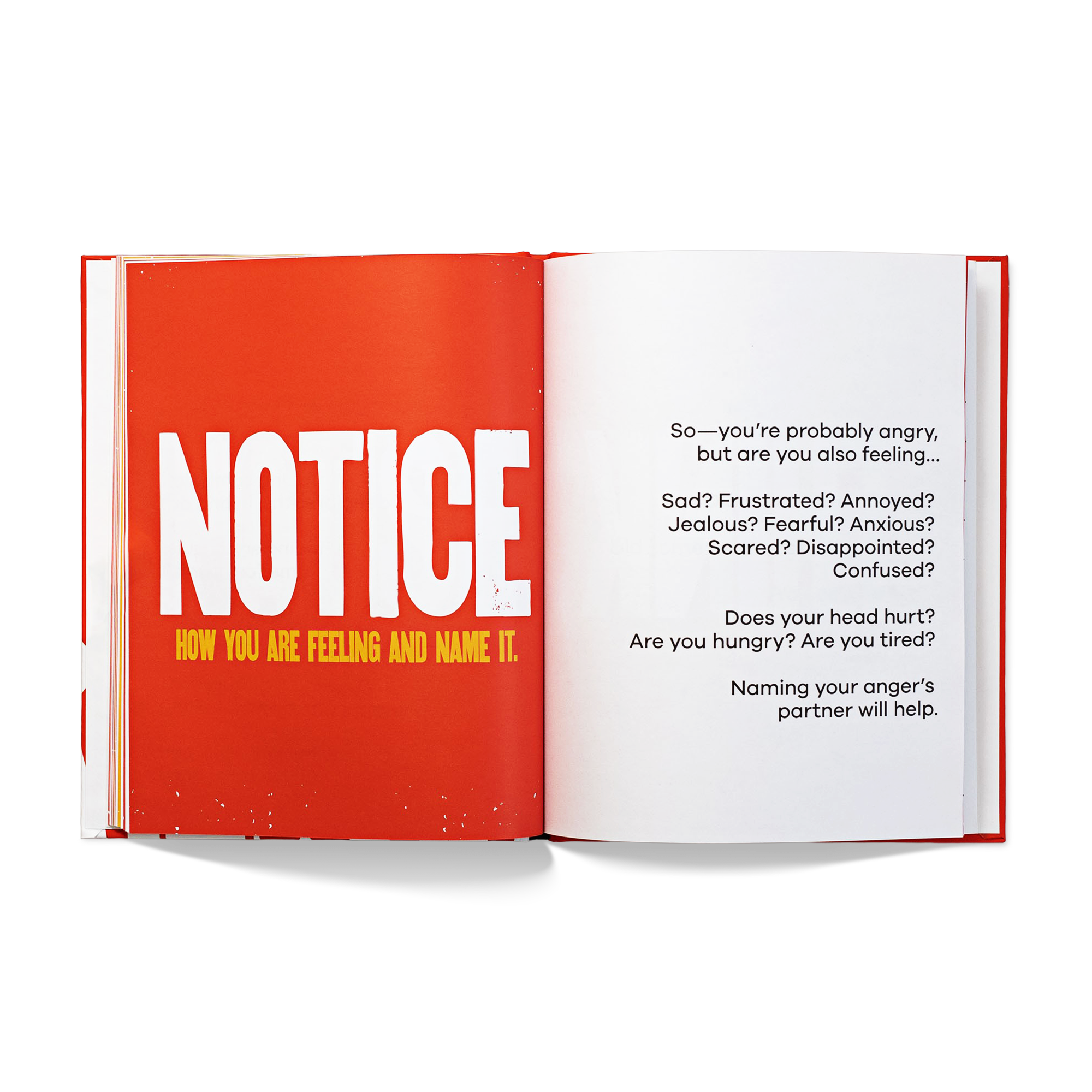A Kids Book About Anger