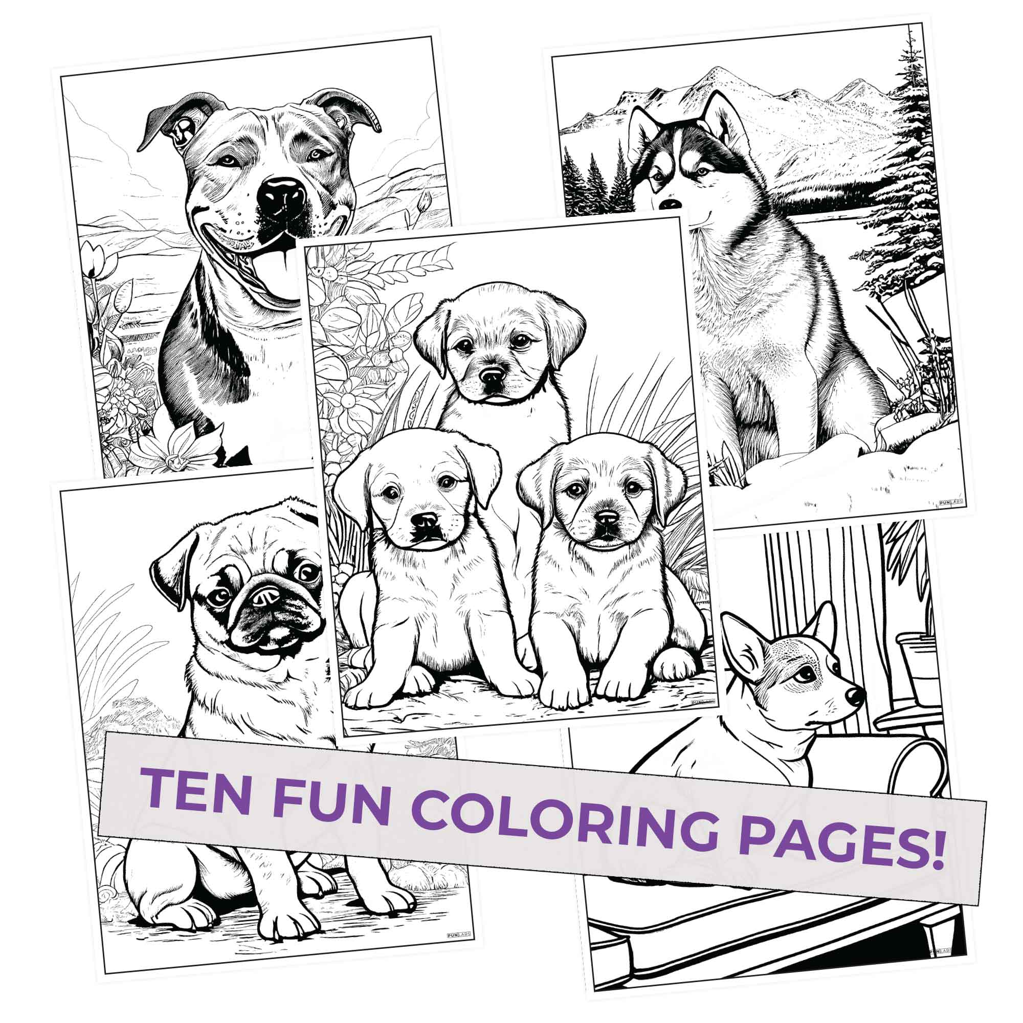 Canine Colors Colored Pencils & Coloring Pages