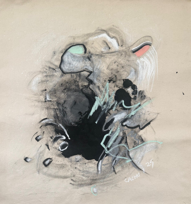 Original Artwork by Cacho Falcon 002