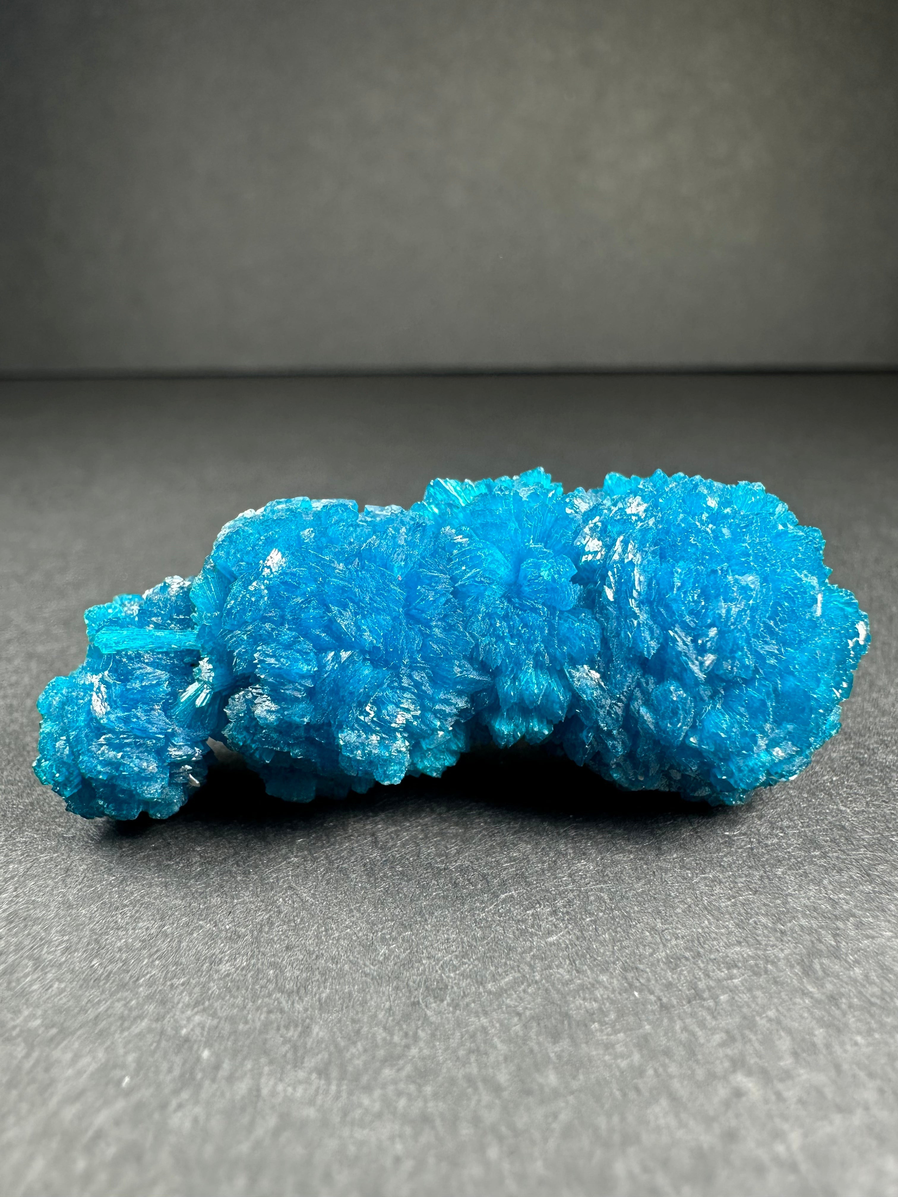 Cavansite Rosettes from Pune, Maharashtra, India