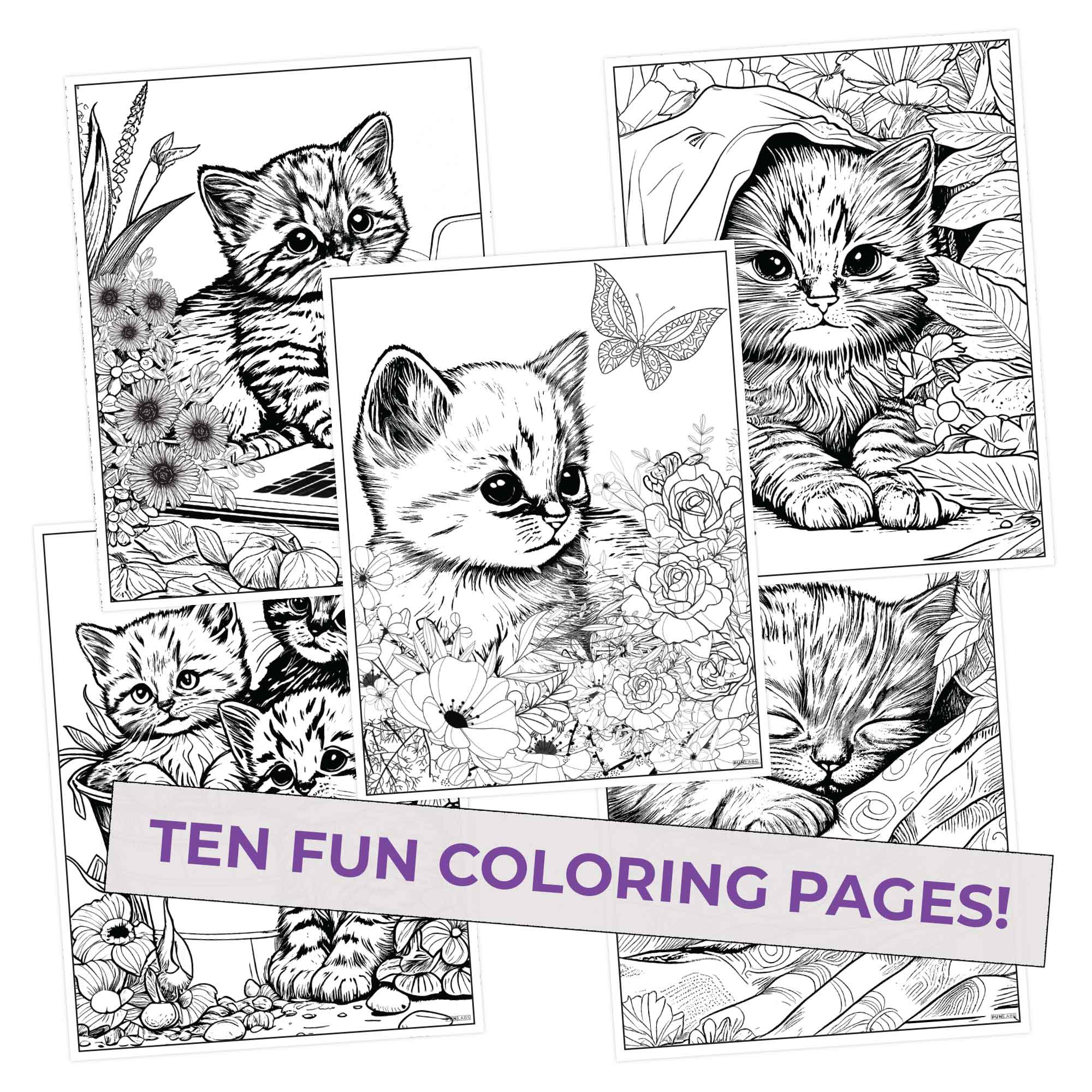Kitty Colors Colored Pencils & Coloring Pages