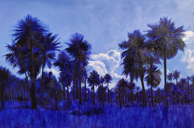 Original Artwork by Camila Cadogan 'Karandatay'