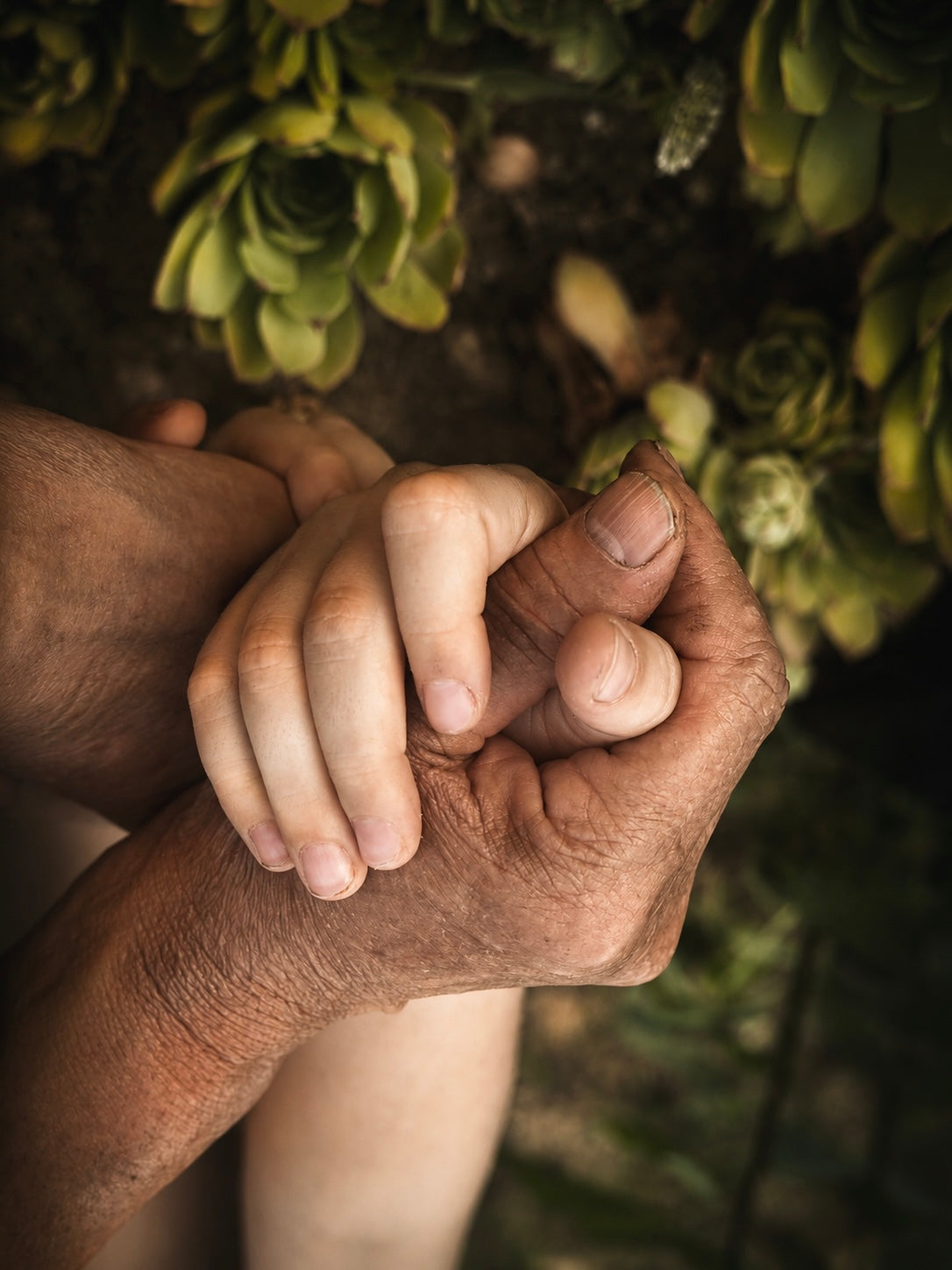 The Thread Between Us by Biljana Paradzik