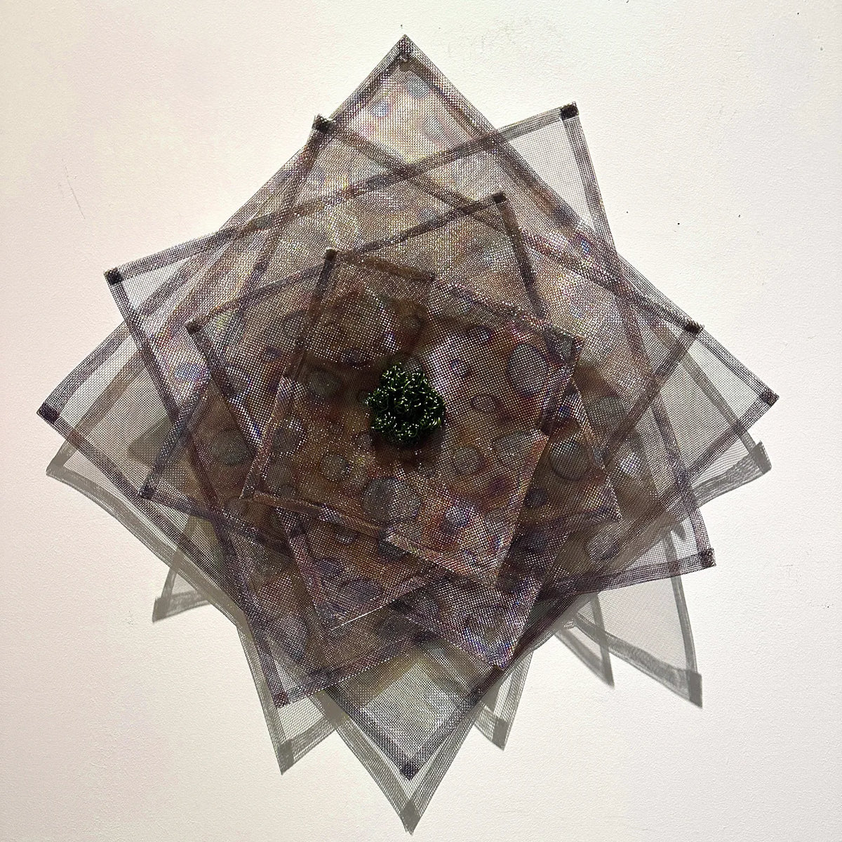 Progressions - Christine K. Miller