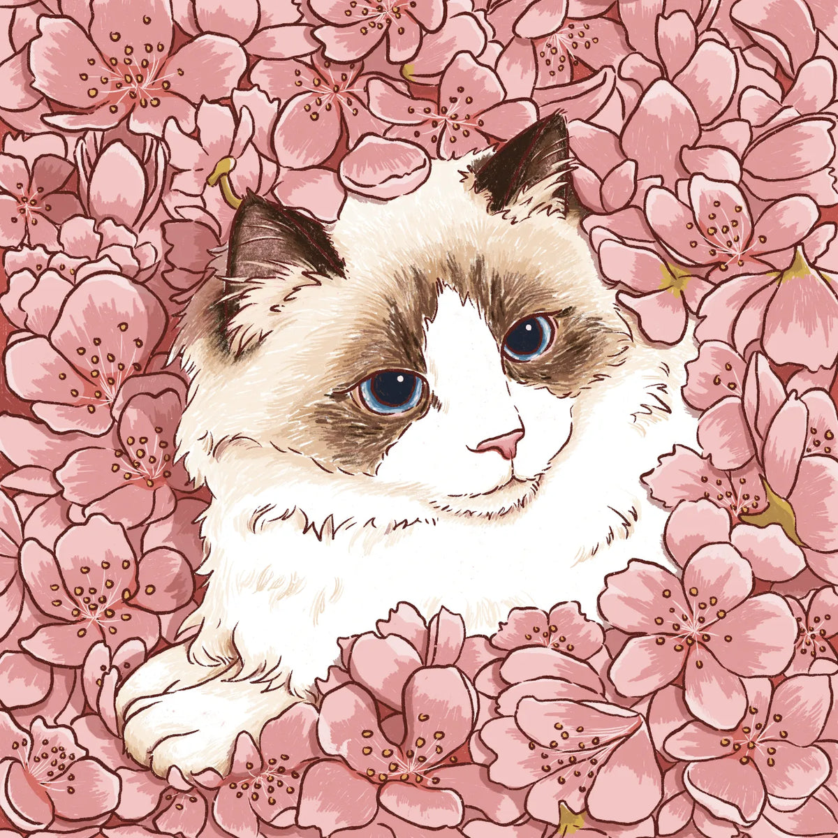 Cherry Blossom by Emmy Zhang
