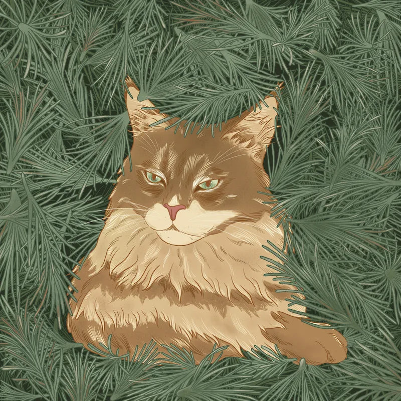 Pine by Emmy Zhang